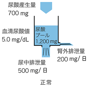 尿酸プール図